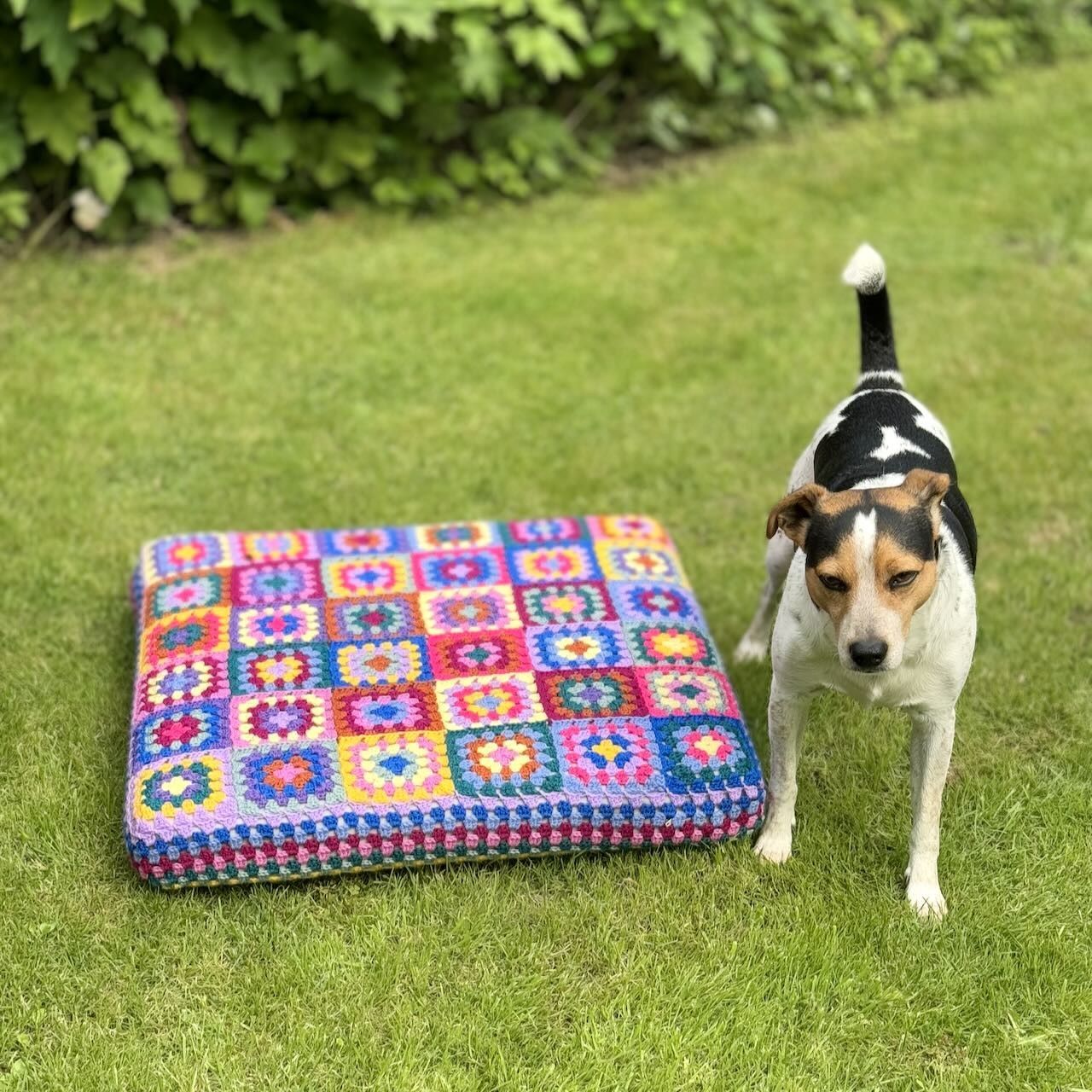Kafka’s Dog Bed - Image 2