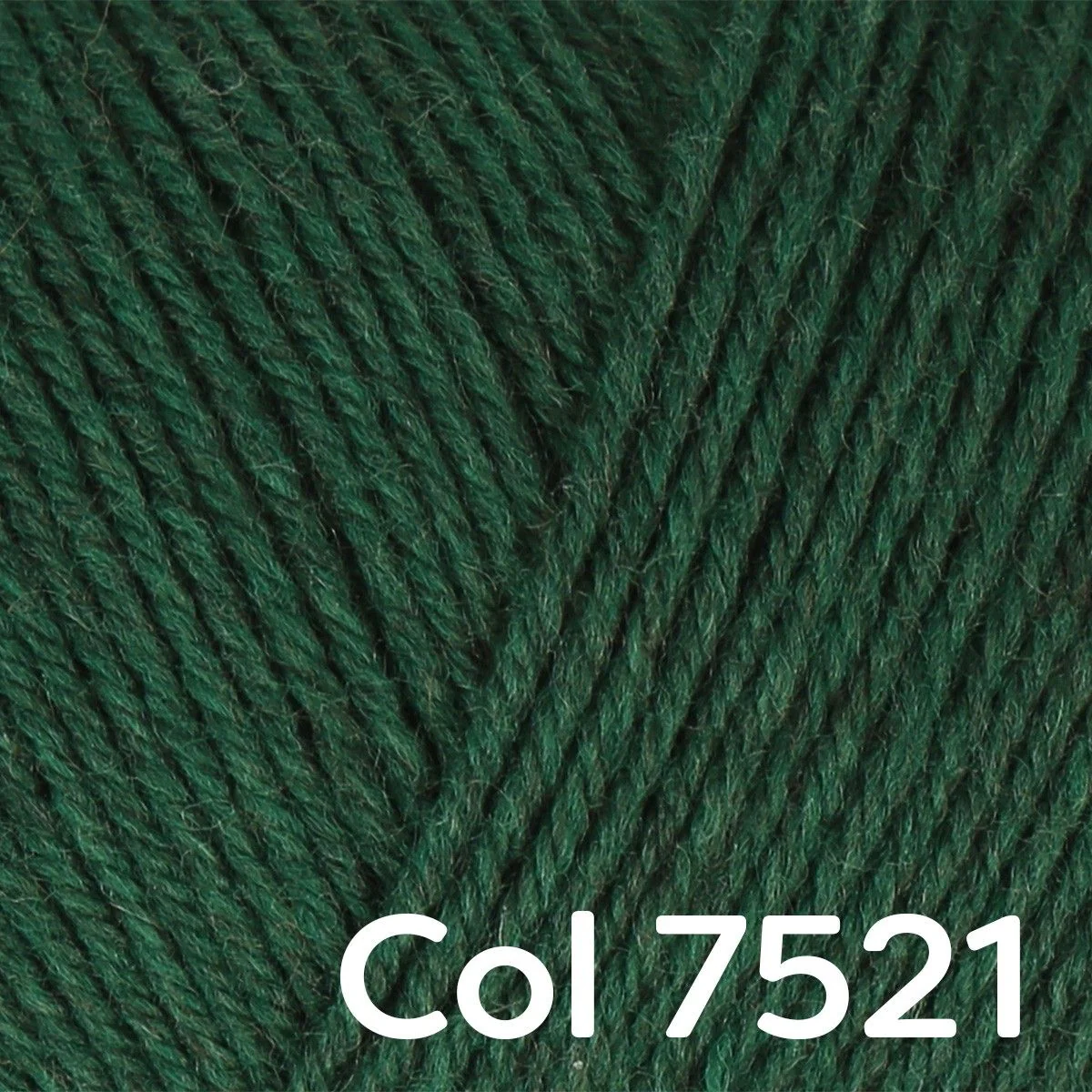 Regia Premium Merino Yak 4-ply - Image 16