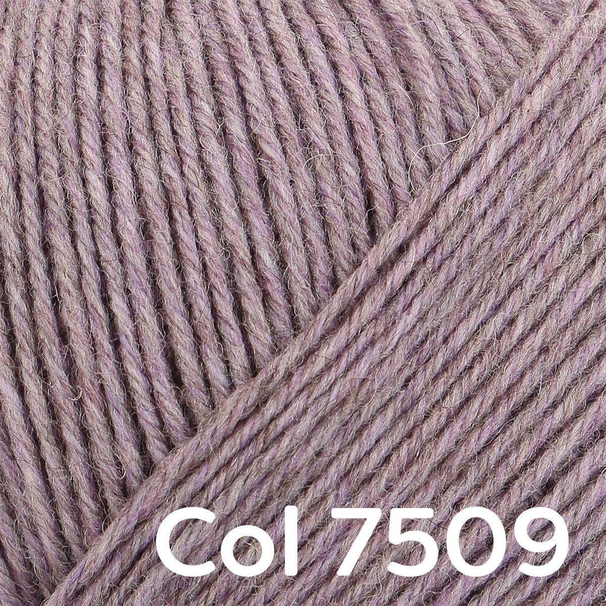 Regia Premium Merino Yak 4-ply - Image 7