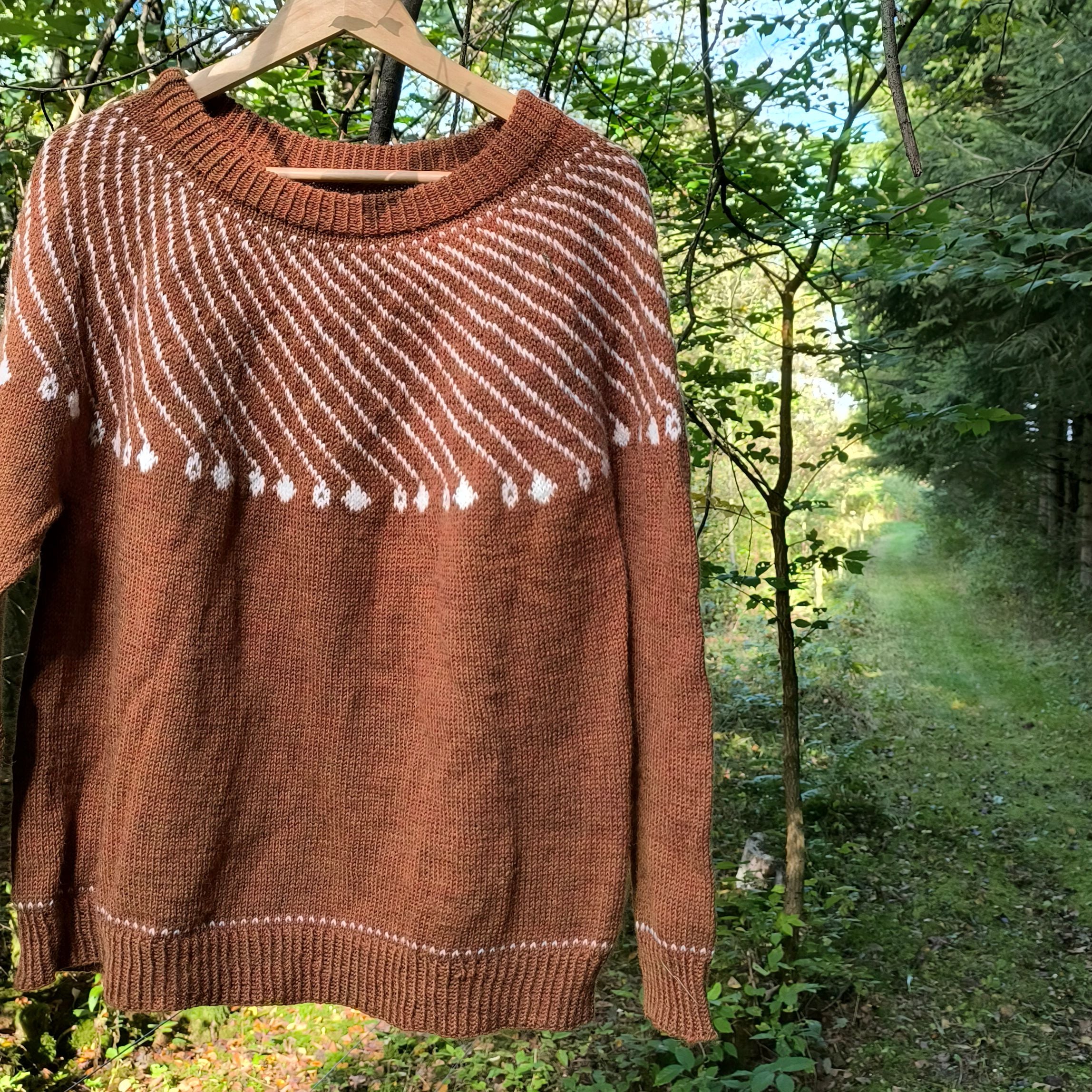 Shooting Star - Sweater - Image 3